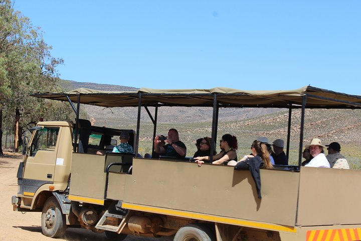 Return Transfer to Aquila Safari The Big 5 From Cape Town Excluding Entry Fees - Image 5