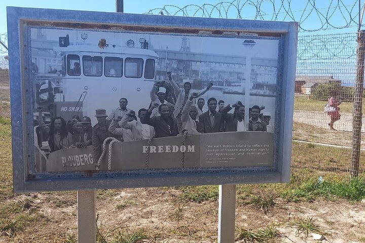 Robben Island and Table Mountain Full Day Private Tour - Image 3