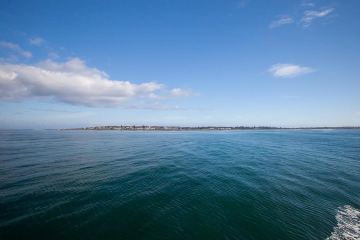 Robben Island & City stops.We confirm tickets by 8h00 am next day - Image 2