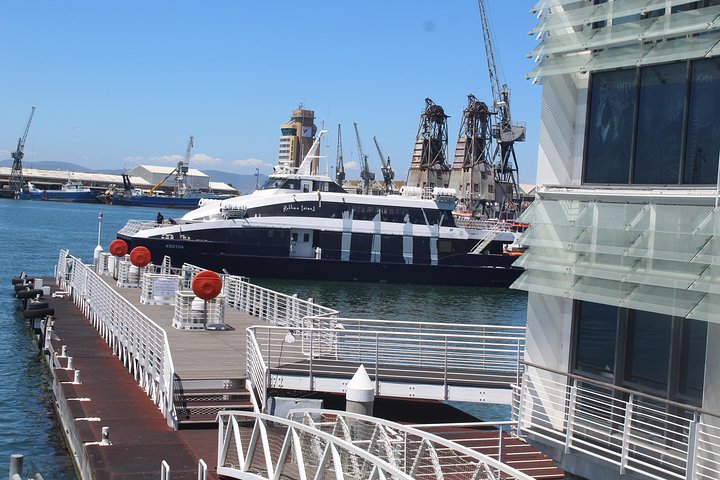 Robben Island Nelson Mandela's Prison Museum + Township Tour incl Ferry Tickets  - Image 5