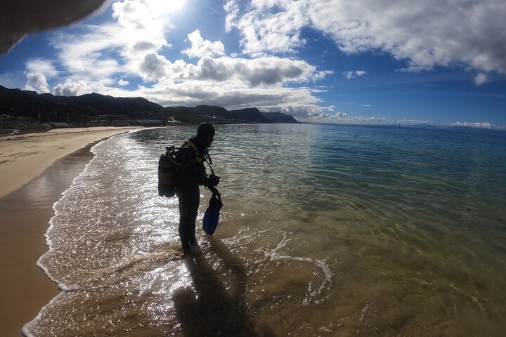 Scuba Diving Experience in Simonstown with an Expert - Image 2