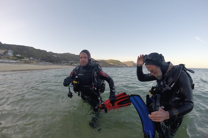 Scuba Diving Experience in Simonstown with an Expert - Image 5