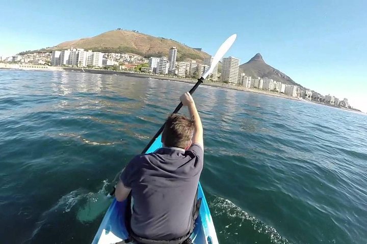 Sea Kayak and Cape Point Private Tour from Cape Town - Image 2