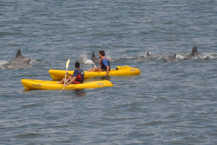 Sea Kayak and Cape Point Private Tour from Cape Town - Image 1