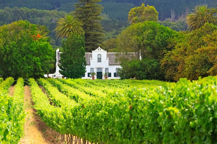 Shared Best of Cape Town Full Day Tour  - Image 2