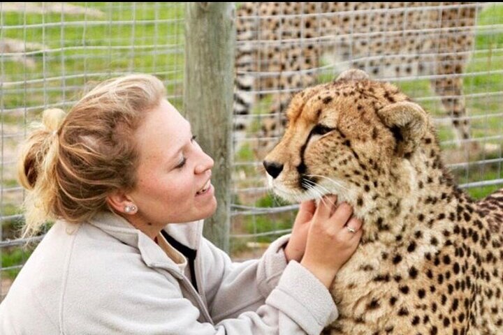 Shared: Cape Winelands, Cheetah Outreach & Kisternbosch Botanical Gardens Tour, - Image 1