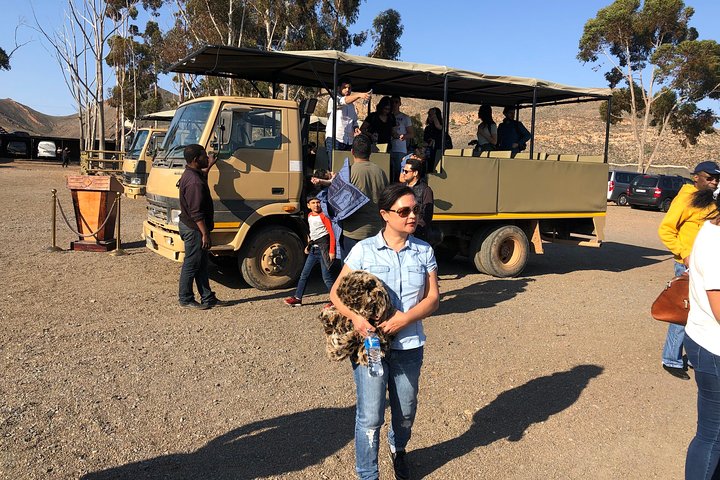 Shared Transfers to and from Safari Game Reserve (excluding entrance fees) - Image 3