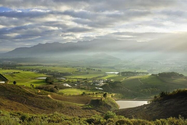 Shared Wine Route Full Day Tour in Cape Town - Image 3