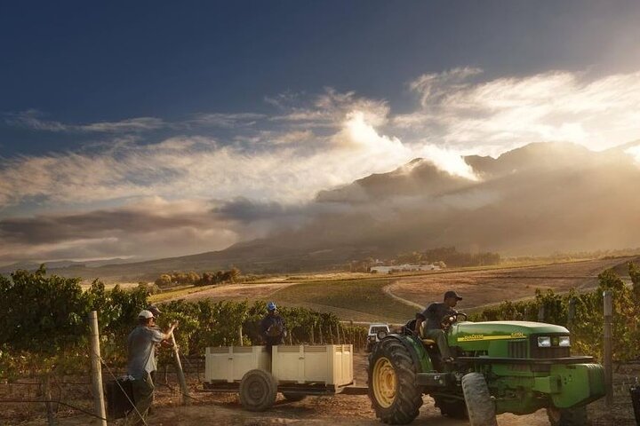 Shared Wine Route Full Day Tour in Cape Town - Image 4
