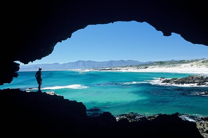 Shark Diving Full Day Guided Return Transfer to Gansbaai from Cape Town - Image 4