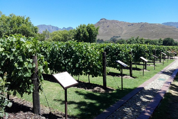 Short Private Wine Tour - Image 1