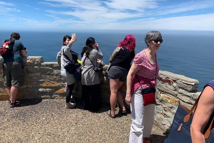 Small Group: Cape Peninsula & Table Mountain Full Day Tour. - Image 4