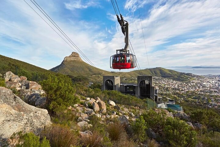 Small Group: Cape Peninsula & Table Mountain Full Day Tour. - Image 3