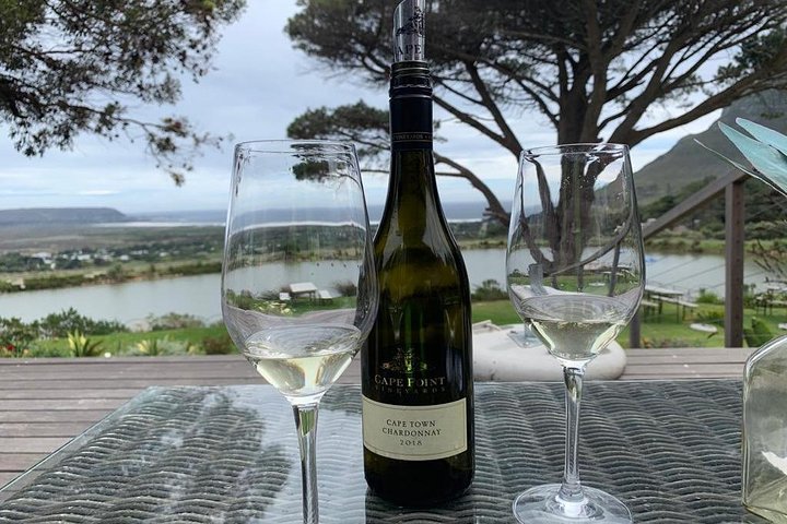 Small Group: Cape Peninsula & Wine Lands Tour. - Image 3