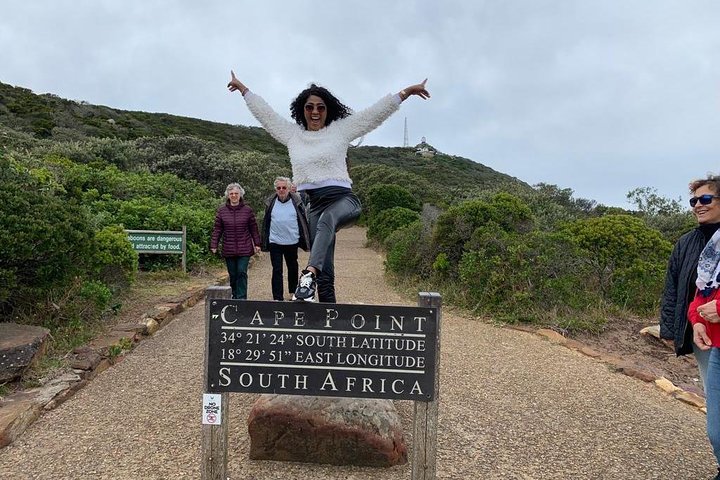 Small Group: Cape Peninsula & Wine Lands Tour. - Image 4