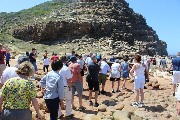 Small Group Private Tour To Cape Point Penguins From Cape Town Excl Entry Fees - Image 1