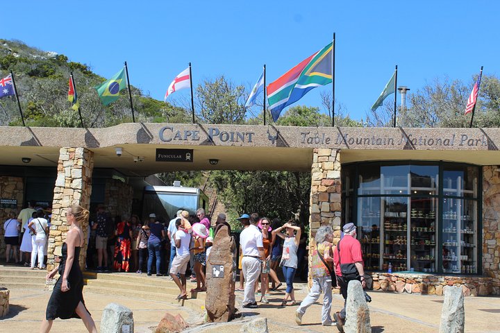 Small Group Private Tour To Cape Point Penguins From Cape Town Excl Entry Fees - Image 2