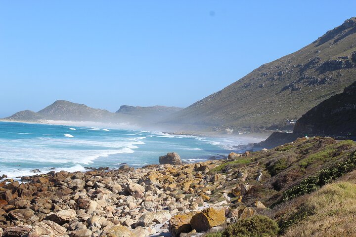 Small Group Private Tour To Cape Point Penguins From Cape Town Excl Entry Fees - Image 5