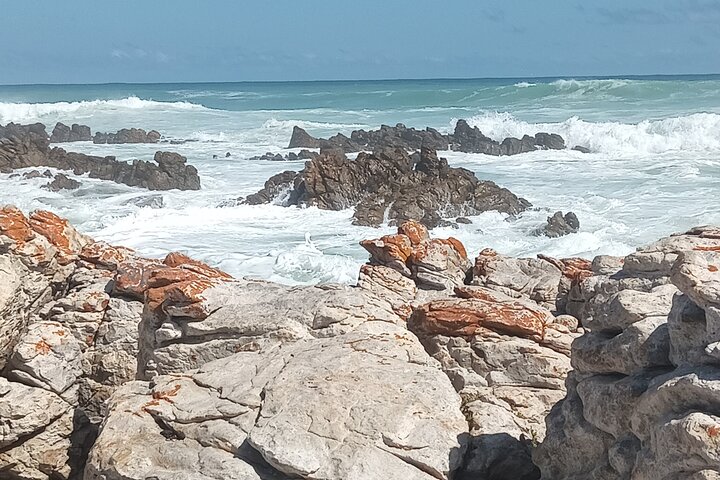 Small Group tour to Cape of Good Hope and Boulders Beach Penguin  - Image 2