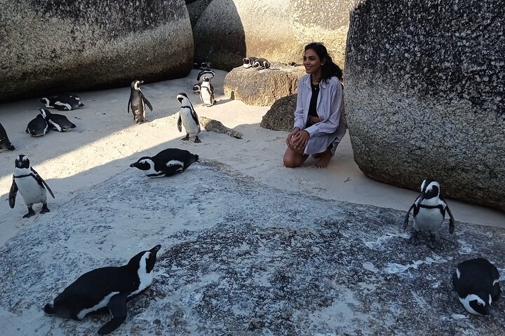 Small Group tour to Cape of Good Hope and Boulders Beach Penguin  - Image 3