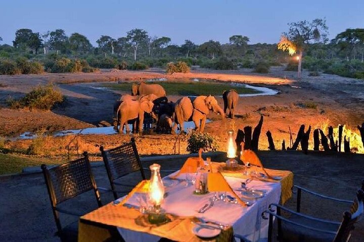 South Africa - 5 Day Garden Route & Addo Adventure & Accommadation - Image 1