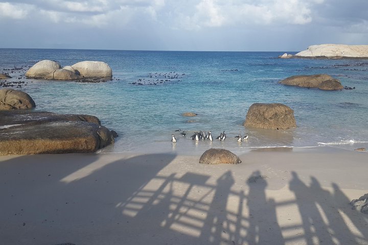 South Africa's Cape Peninsula Tour - Image 2