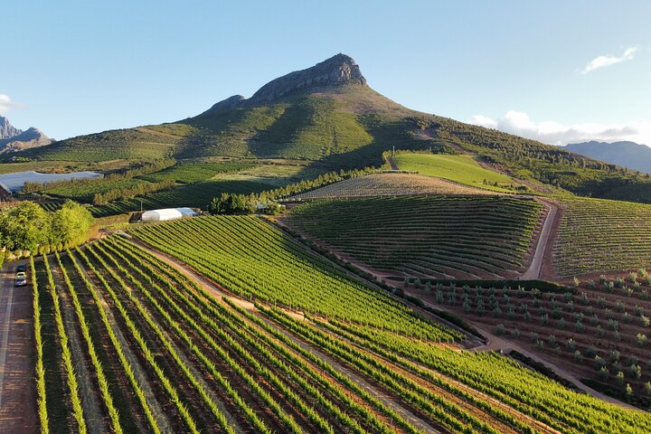 Stellenbosch & Franschhoek Full Day Wine Shared Tour - Image 3