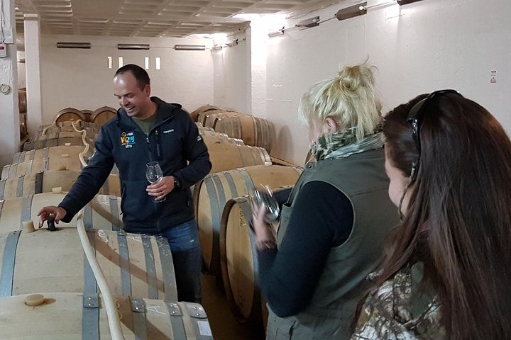 Stellenbosch Valley. Private wine tour with winemaker in Swedish or English. - Image 5