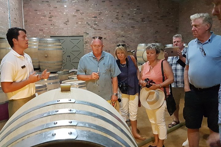 Stellenbosch Valley. Private wine tour with winemaker in Swedish or English. - Image 2