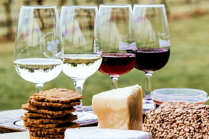Stellenbosch Winelands Experience - Image 5