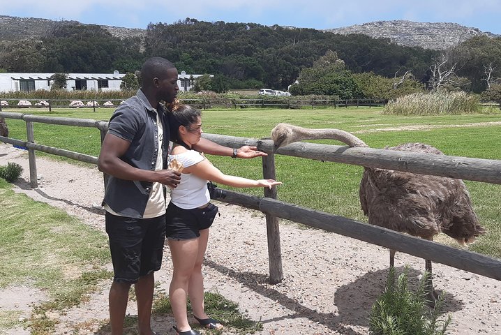 Table Mountain and Cape of Goodhope  - Image 4