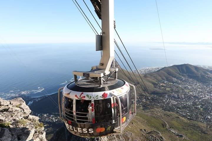Table Mountain, Cape Point & Penguins Private ,From Cape Town - Image 1
