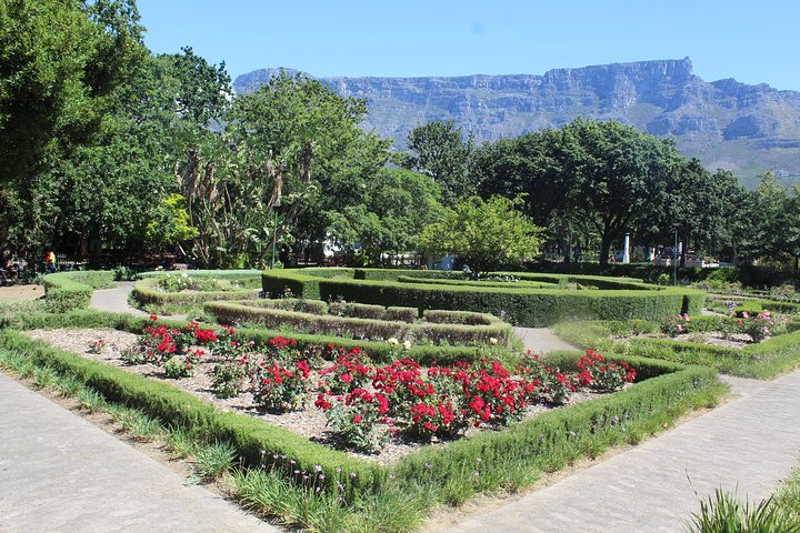 Table Mountain City Tour Camps Bay Kirstenbosch Gardens Plus All tickets Shared - Image 2