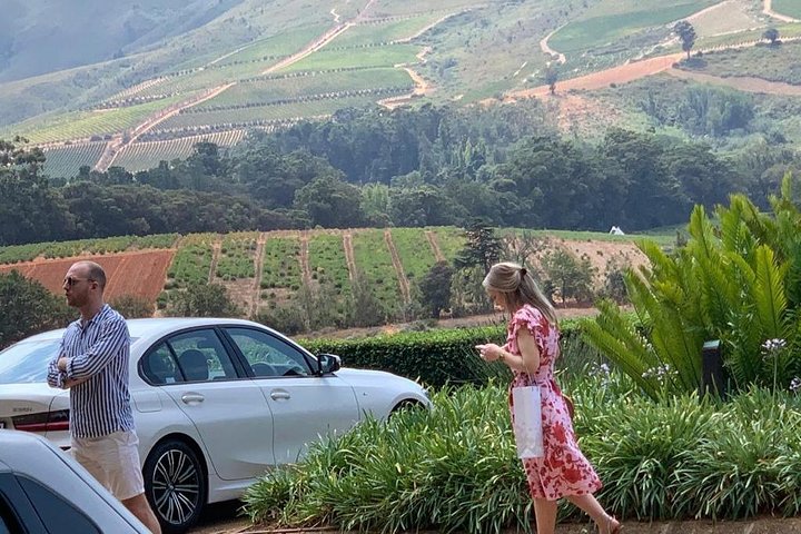 Table Mountain & Constantia Wine Tasting Full Day Tour. - Image 4