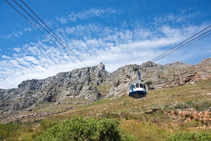 Table Mountain Experience with Half-Day Private Chauffeur - Image 5