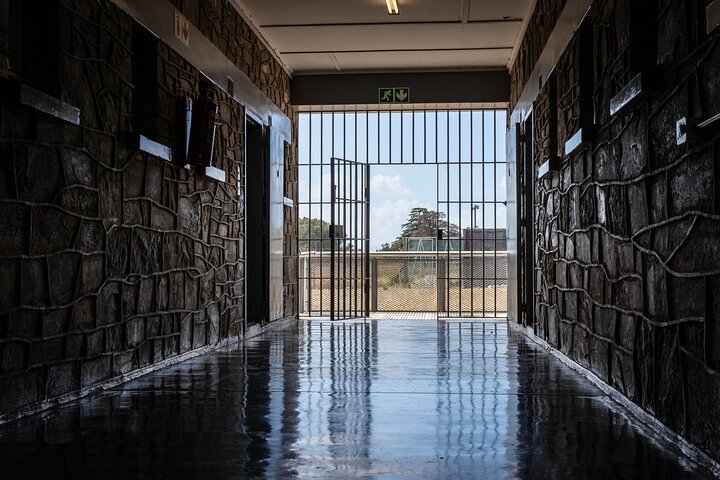 Table Mountain & Mandela Freedom Full Day Tour - Image 4