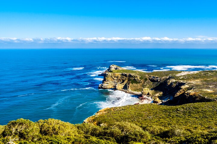 Table Mountain, Penguins & Cape of Good Hope Small Group Top Tour from Cape Town - Image 5