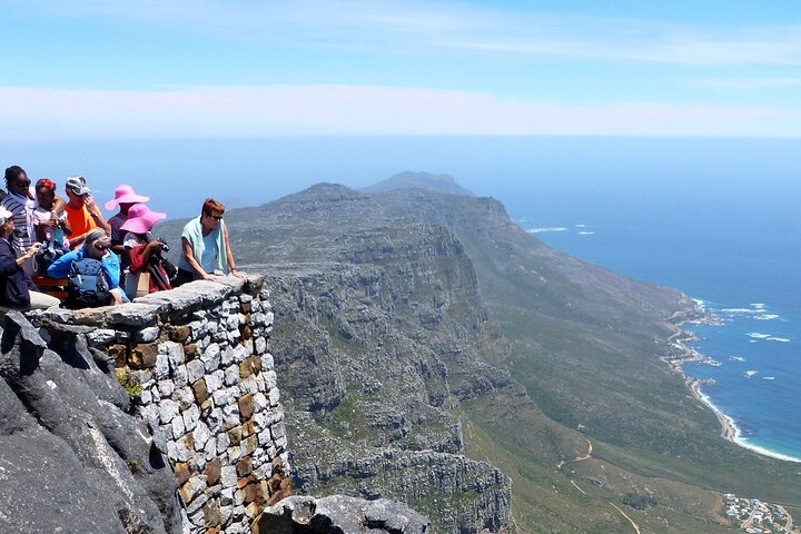 Table Mountain, Penguins & Cape of Good Hope Small Group Top Tour from Cape Town - Image 4