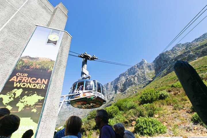 Table Mountain, Penguins & Cape Point Small Group Tour from Cape Town - Image 1