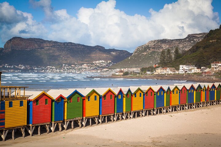 Table Mountain, Penguins Colony and Cape of Good Hope Small Group Shared Tour - Image 5