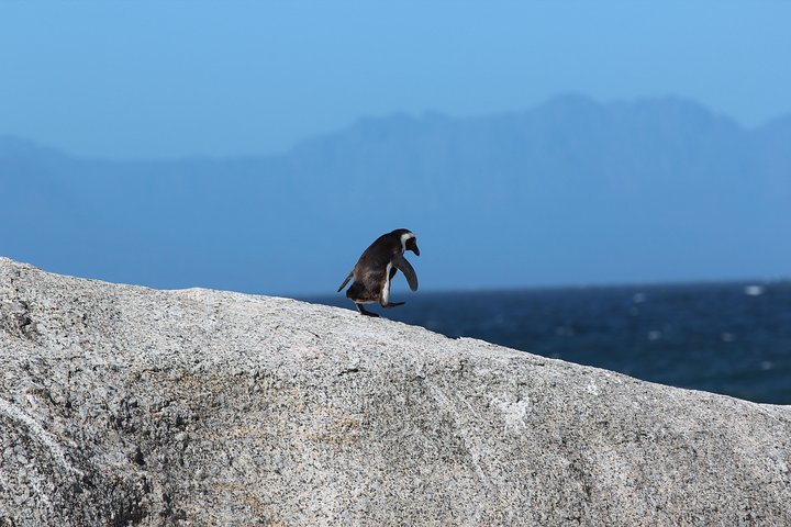 Table Mountain Skip The Line Tickets - Image 1