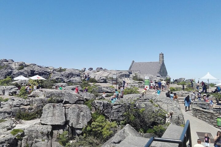 Table Mountain Tour - Image 4