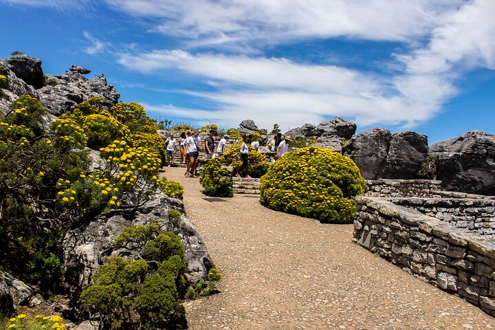 Table Mountain Tour - Image 2