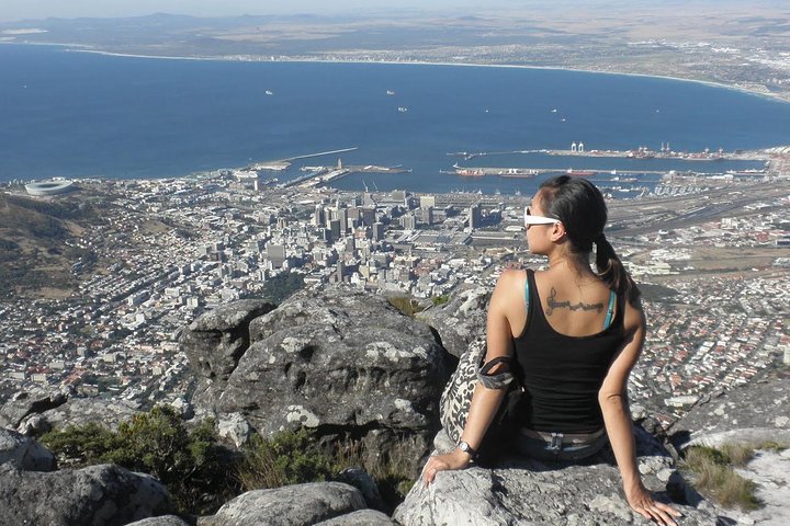Table Mountain-Wines-Penguins-Cape Point All Inclusive Group Tour - Image 3