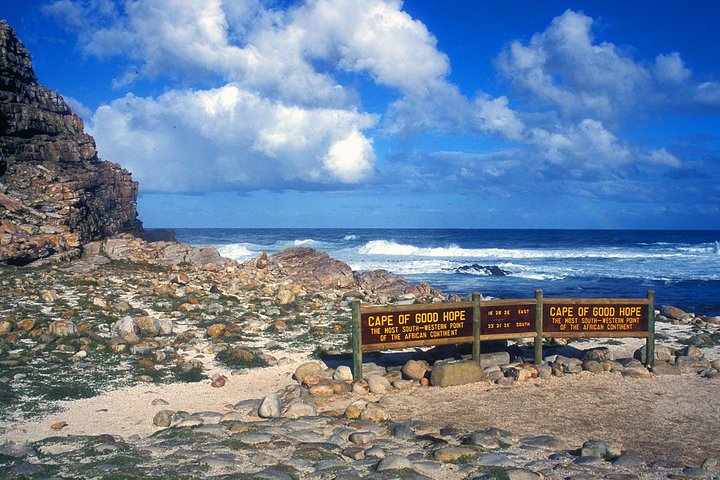 Table Mountain-Wines-Penguins-Cape Point All Inclusive Group Tour - Image 5