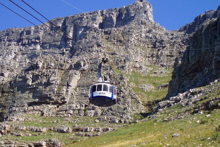 Table Mountain-Wines-Penguins-Cape Point All Inclusive Group Tour - Image 4