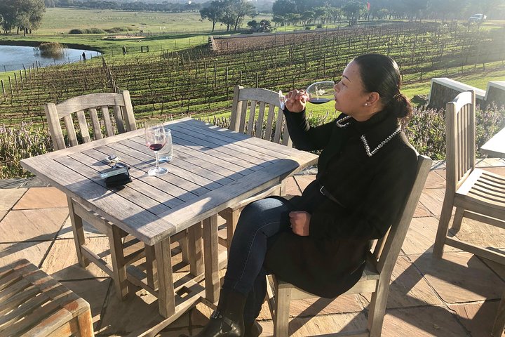 Tailor made Stellenbosch & Franschhoek Winelands Full day Tour. - Image 4