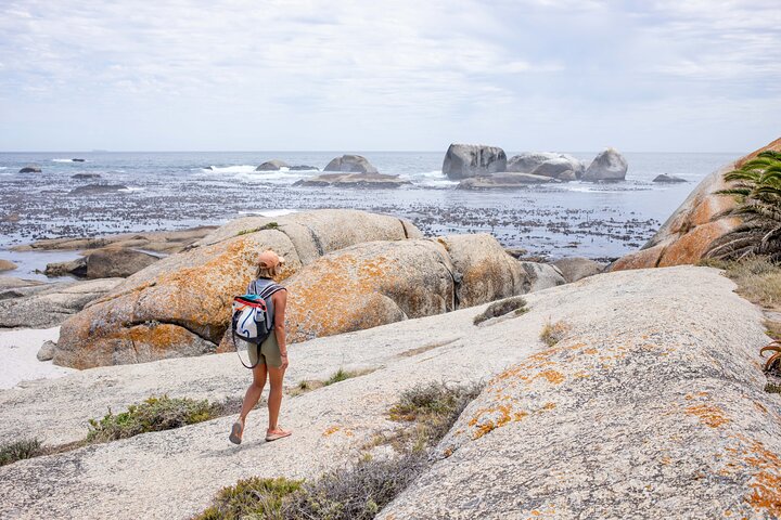 The Lion Trail - Image 4