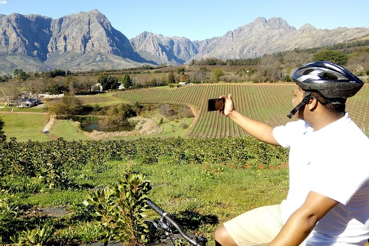 The Wine story of Cape Town 2020 - Image 5