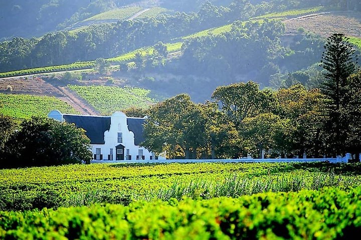 The Winelands Private Day Tour from Cape Town - Image 2